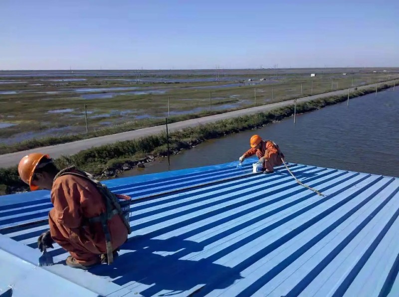 佛子山镇彩钢瓦屋面防腐翻新